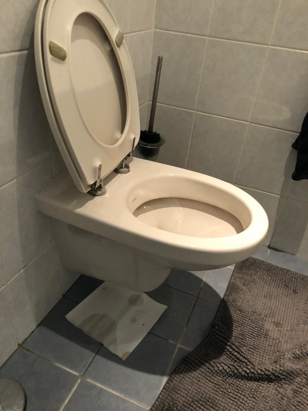 hangtoilet Rijswijk
